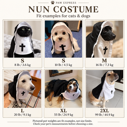 Holy Pet Costumes